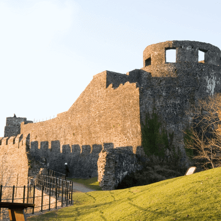 Carmarthen Castle Location Image