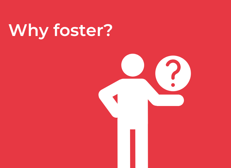CCF Why Foster Image