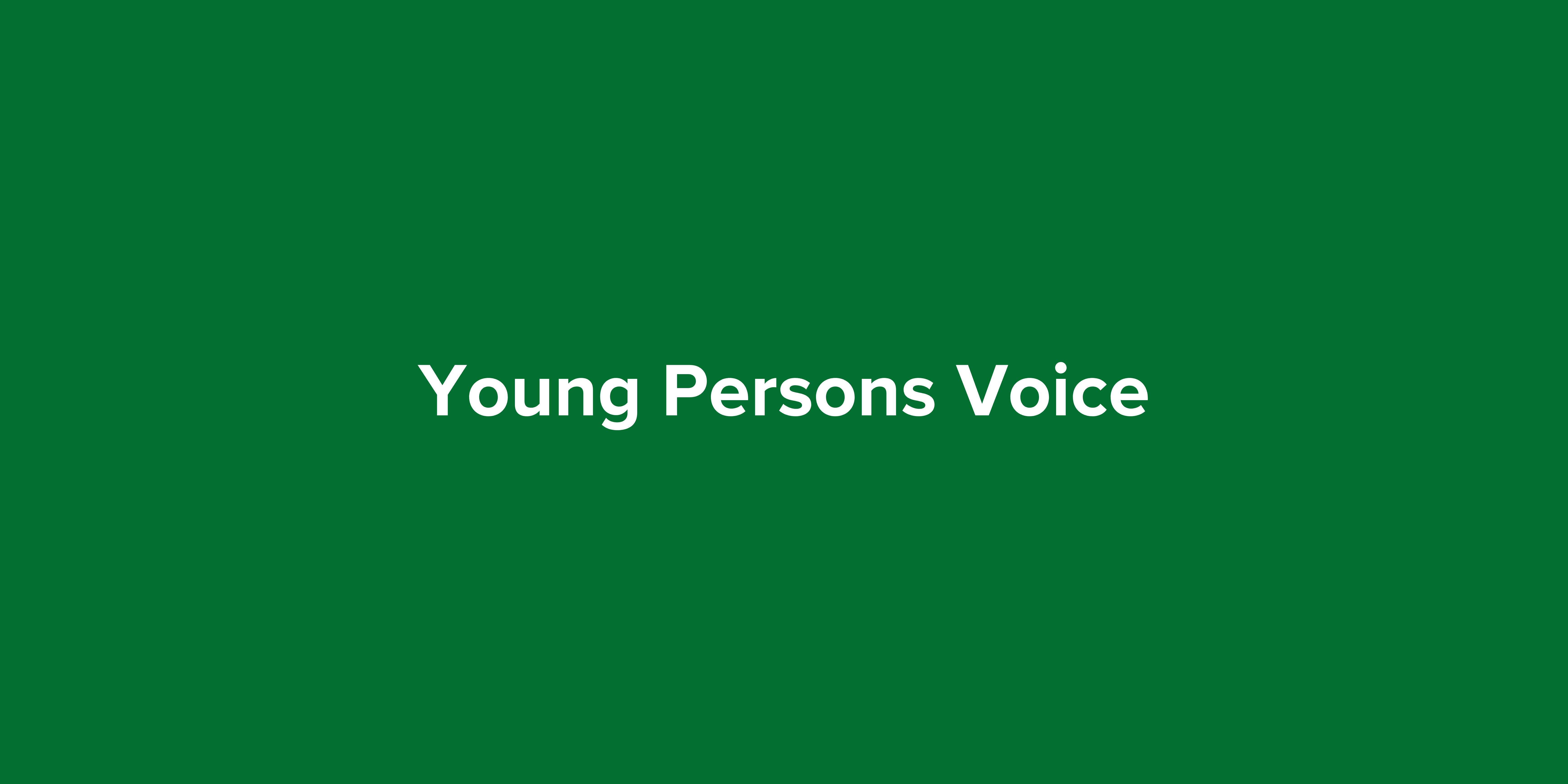 Young Persons Voice