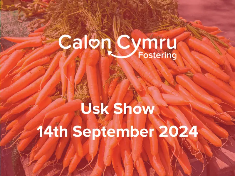 Usk Show (1)