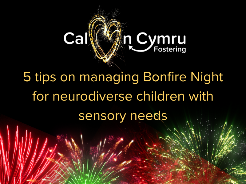 Managing Bonfire Night For Neurodiverse Children With Sensory Needs (800 X 600 Px) (1)